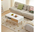 Table basse en rotin en bois massif et MDF, porte coulissante, pieds en bois massif, style moderne
